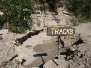 The sign for dinosaur tracks