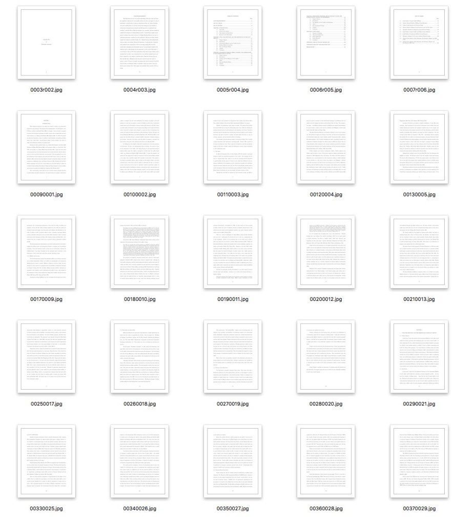 Thumbnails for ark:/67531/metadc699990/ including interesting and less visually interesting pages.