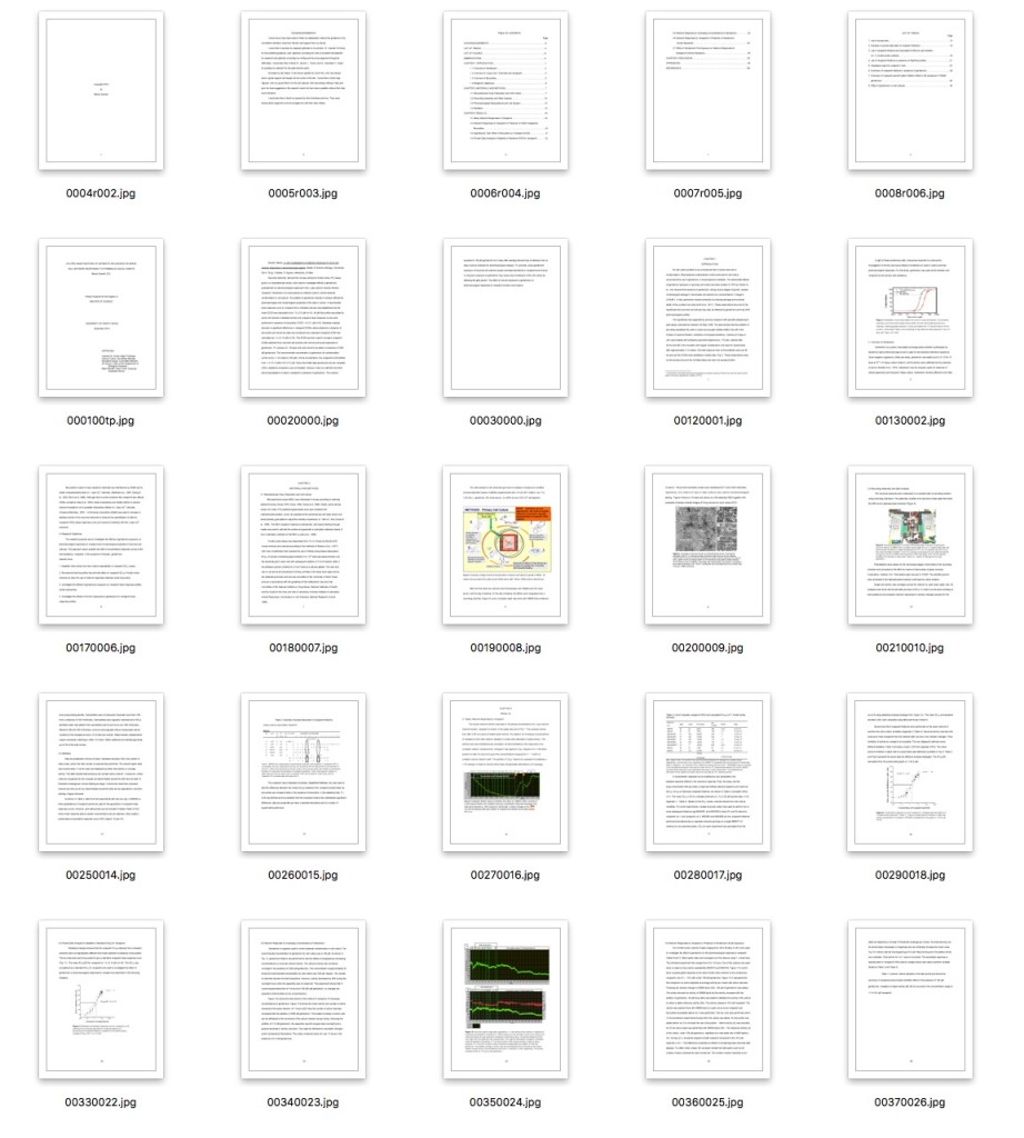 Thumbnails for ark:/67531/metadc699991/ including interesting and less visually interesting pages.