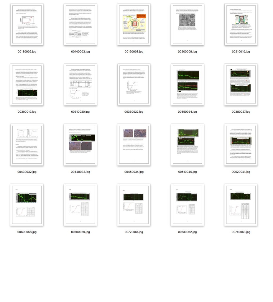 Thumbnails for ark:/67531/metadc699991/ with just visually interesting pages.