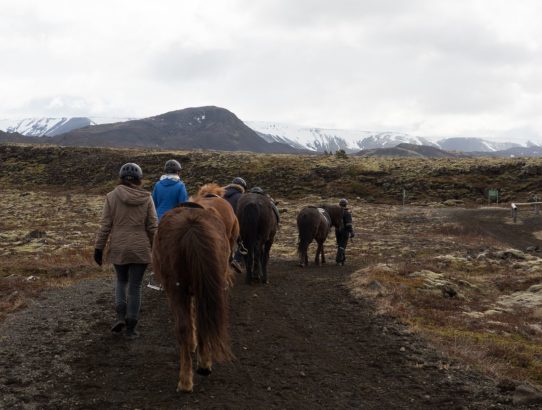 Iceland Trip: Day Three