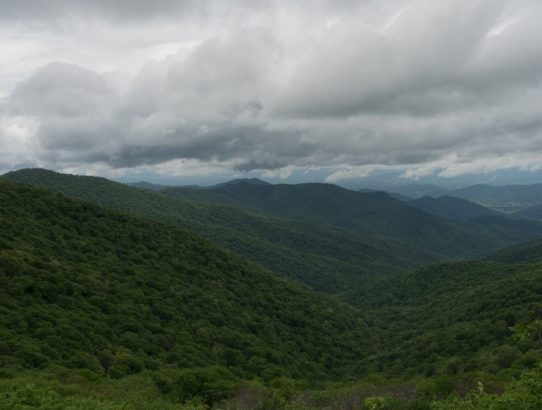 Smoky Mountains Trip: Day Four