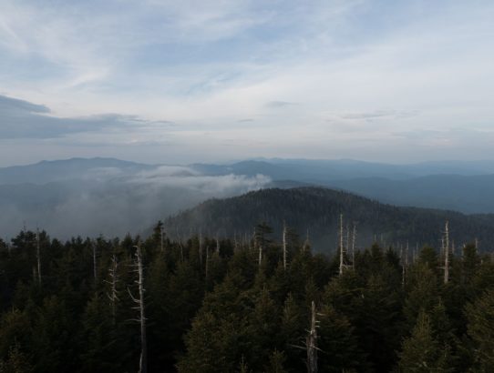Smoky Mountains Trip: Day Two